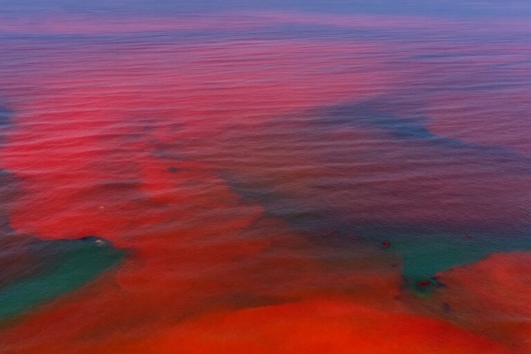 Marea Roja