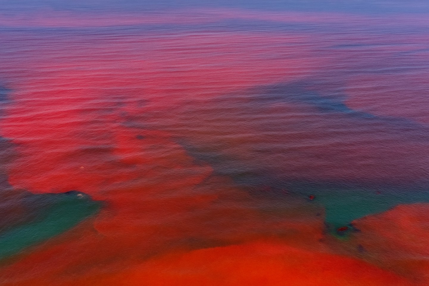 Marea Roja