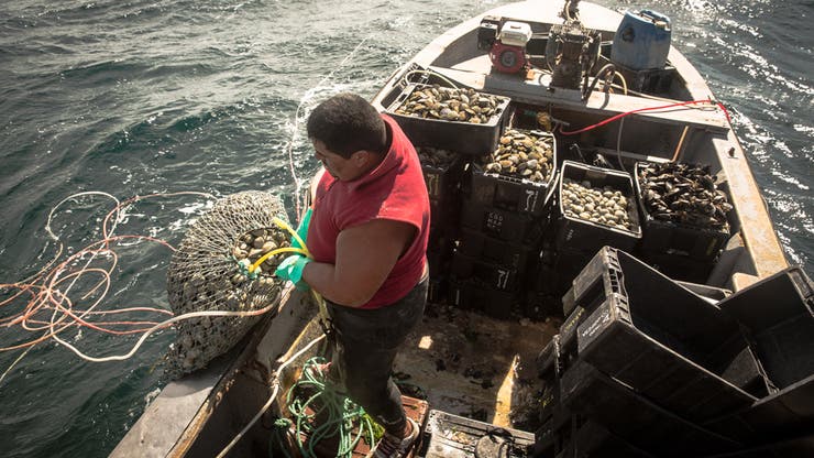 Pescador artesanal
