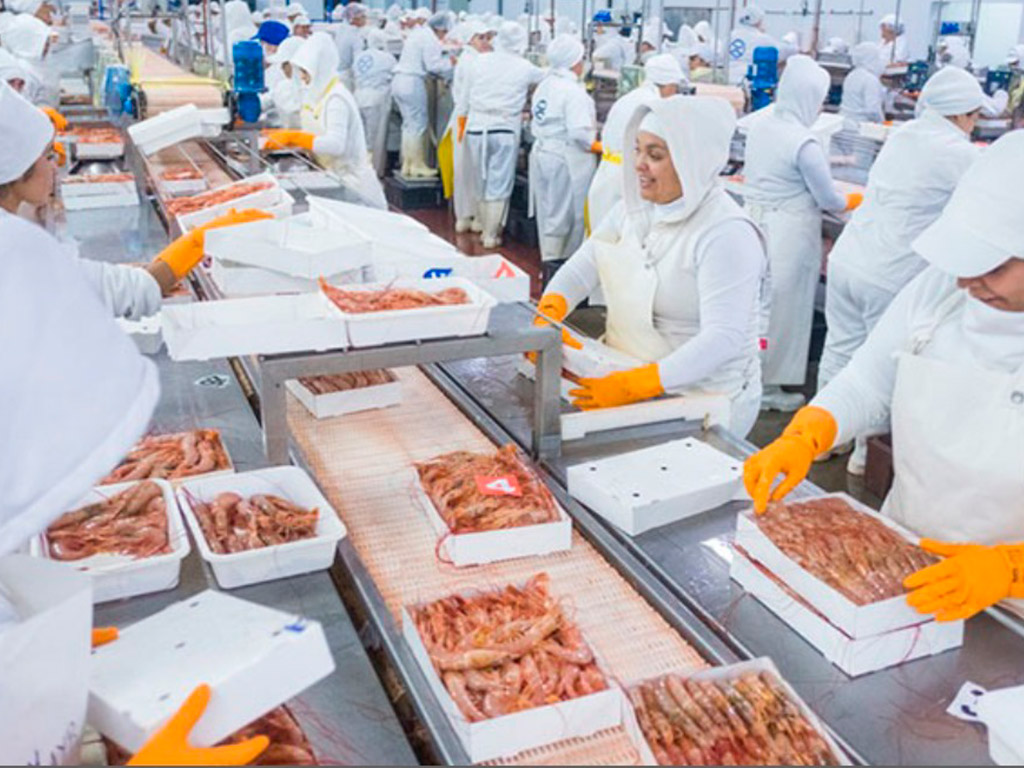 Trabajadoras de pesquera